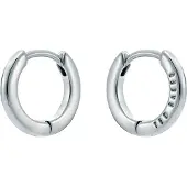 Ted Baker Örhängen silver