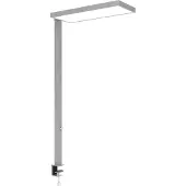 MAUL Klämlampa MAULjura, dimbar, Förkromad / silver, Arbetsrum / kontor, Aluminium / grå / zink, Modern, Klämlampa