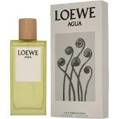 Cosmetara Charm Co. Loewe Agua Eau de Toilette 100 ml beige