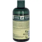 The Body Shop Moringa Duschgel 250 ml