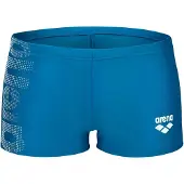 Arena Logo Badbyxor Boxer