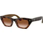 Ray-Ban Zena Solglasögon