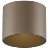 Paul Neuhaus Taklampa Point, dimbar, Brun / mässing, Badrum, Metall, Modern, Taklampa
