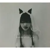 Virgin Music Group B V Cnt Sylvian David: Sleepwalkers 2022
