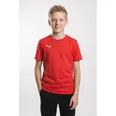 Puma T-Shirt teamGOAL Casuals - Röd/Vit Barn, storlek YL/152 cm