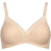 Triumph Classic Stretch Bh