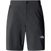 The North Face Felik Slim Tapered Shorts