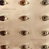 Konkurrent Thalia Zedek Band: Perfect Vision (Clear)