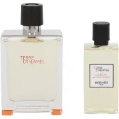 Hermès Paris Hermes Terre D'Hermes Eau De Toilette Spray Set 100ml + Shower Gel 80ml