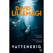 Vattenkrig