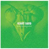 Konkurrent Giant Sand: Backyard BBQ Broadcast 1995