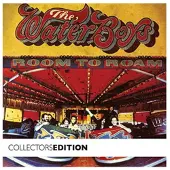 Proper Mainland Europe Waterboys: Room To Roam