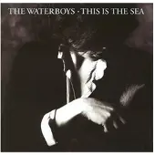 Ginza.se Waterboys: This is the sea 1985 (Rem)