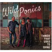 Ginza.se Wild Ponies: Things That Used To Shine
