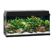 Gebr. De Boon Primo 110 LED Black Aquarium