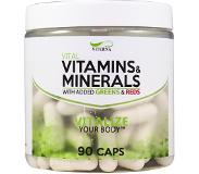 Viterna Multivitamin/Mineral/Greens/reds 90 caps