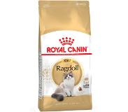 Royal Canin 2kg Ragdoll Royal Canin Breed kattmat till sparpris!