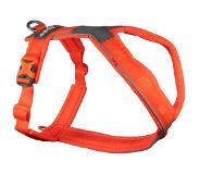 Non-Stop Dogwear Line Harness 5.0, Orange, 1