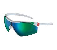 Salice 004 Ita Sunglasses Vit Rw Green/CAT3