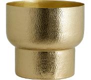 Nordal Alimia blomkruka L guld