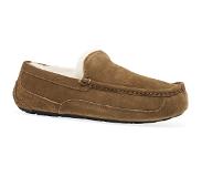 Ugg Ascot Slippers Brun EU 40 Man