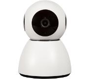 Eyenimal pet vision live full hd full hd kamera katt