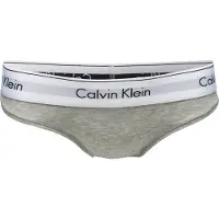 Calvin Klein Kvinnors Modern Briefs i Grå