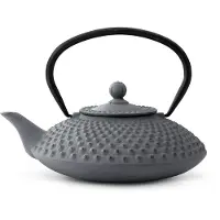 Bredemeijer Xilin Tekokare 1.25l