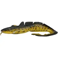 Savage Gear 3d Burbot Fast Sinking Mjukt Bete 75g 250 Mm