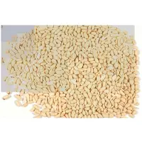 Versele-Laga Skalade jordnötter 1 kg