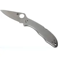 Spyderco Delica 4 Stainless Steel C11P pocket knife