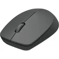 Rapoo Mouse M100 Silent Wireless Multi-Mode Dark Grey