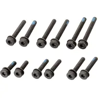 Magura Flatmount Skivbromsskruvar