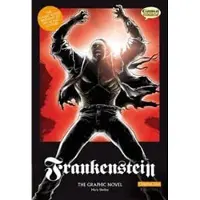 Frankenstein The Graphic Novel