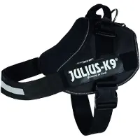 Julius-K9 Idc Hundsele