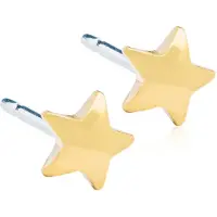 Blomdahl Star 8mm Örhängen 1par
