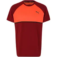 Puma Power BND T-Shirt i Rött för herr