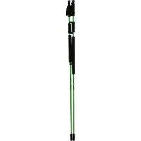 Zandstra Nordic skating poles