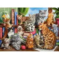 Castorland House of Cats, 2000 styck, Djur, 9 År
