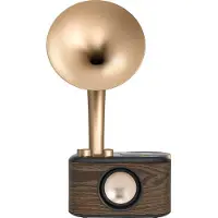 Sangean WR-45X Gold Bordsradio FM AUX, Bluetooth uppladdningsbart Svart, Guld