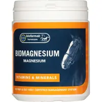Ginza.se Biofarmab - BioMagnesium - 400g
