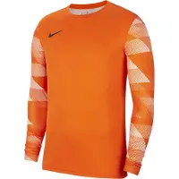 Nike Målvaktströja Park IV Dry - Orange/Vit/Svart Barn, storlek S: 128-137 cm