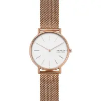 Skagen Signatur SKW2784