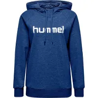 Hummel Go Logo Tröja Med Huva