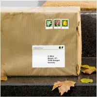 Herma Special - Polyester - matt - extra starkt självhäftande - vit - 57 x 99.1 mm 250 etikett (er) (25 ark x 10 fraktfilm etiketter