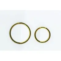 Geberit Sigma21 serviceplatta - 246x164x14mm mässing/vit