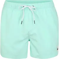 Quiksilver Everyday Volley 15 Boardshorts beach glass Storlek S