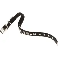 Ferplast Dual 20 Mm 43 Cm Hundhalsband