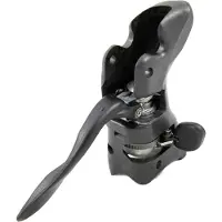 Campagnolo Record/chorus Ergopower 2015 Höger Spak