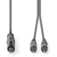 Nedis Coth22200gy30 Stereoljudkabel M-2x Rca M Nickelpläterad 3.5mm 3 M